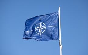 Bloomberg: в НАТО сочли действия офицеров немецких непрофессиональными