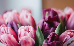 Психолог Коробова: При выборе цветов к 8 марта важно учитывать вкусы женщины