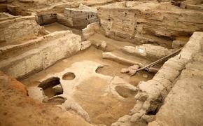 Археологи обнаружили сорт хлеба возрастом 8600 лет