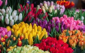 В Госдуме заявили, что покупатель может вернуть деньги за несвежие цветы