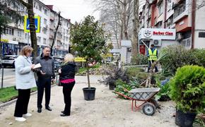 Виктор Тепляков осмотрел ход реновации зелёного уголка возле Дома архитекторов