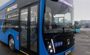 Смольный рассчитывает получить около 500 новых автобусов в 2024 году
