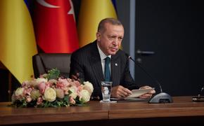 Источник ТАСС: в Стамбуле пройдут переговоры Эрдогана и Зеленского