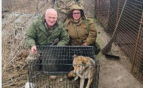 Корреспондент «АН» вывезла из зоны СВО волчицу и трёх енотов