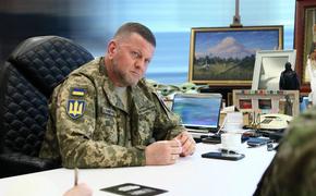 Офис президента Украины: процедура назначения Залужного на пост посла уже начата