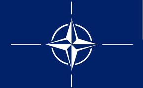 Майор НВС Латвии Слайдиньш: Чтобы отправить силы НАТО на Украину, должен быть мандат ООН