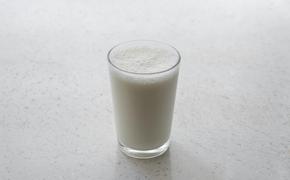 Диетолог Сюракшина завила, что растительное молоко полезнее коровьего