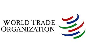 Существует опасение, что смерть Всемирной торговой организации неминуема