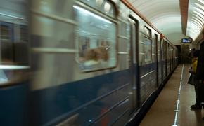 В Москве арестовали мужчину, который столкнул девушку под поезд метро