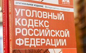 ГД: принят закон об освобождении от наказания по УК РФ при контракте с армией