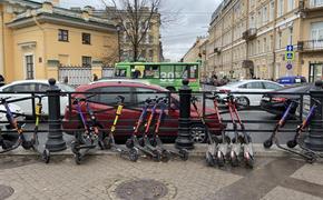  Плугин заявил о необходимости частично запретить электросамокаты в Петербурге