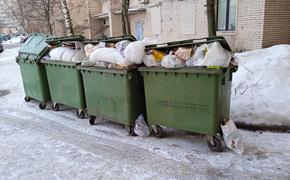 За сутки петербуржцы больше 360 раз пожаловались на мусор в городе