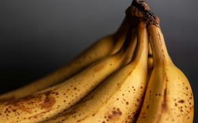 Аналитик Федяков: Стоимость бананов в РФ увеличится на 30%