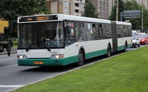 До зимы в Петербурге появятся более ста новых автобусов большого класса