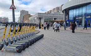 В Петербурге могут запустить эксперимент по установке номеров на СИМ