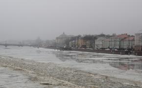 МЧС предупредило петербуржцев о плохой видимости из-за тумана
