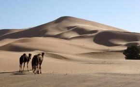 Открытие древней звездной дюны раскрывает тайну 13 000-летней давности