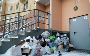 Петербуржцы более чем 800 раз пожаловались на мусор в городе