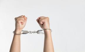 Полиция задержала гражданина Индии по подозрению в домогательствах
