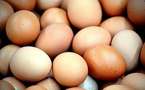 ФАС начала проверку ценообразования на куриные яйца в Петербурге с «Ленты»
