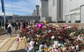 Помощник Кадырова Алаудинов: бенефициары теракта в «Крокусе» находятся в США