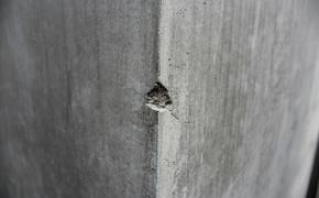 В Подмосковье на семилетнюю девочку обрушился бетонный забор