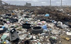 Солнечный район Хабаровского края пока не готов к работе с мусорным оператором
