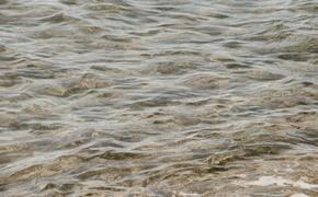 Мэр Салмин: паводковая ситуация в Оренбурге остается критической, вода прибывает