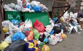 Более чем 300 жалоб на мусор поступило от жителей Петербурга за два дня