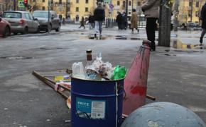 За сутки петербуржцы пожаловались на мусор в городе почти тысячу раз