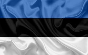 Глава МВД Эстонии Ляэнеметс предложит признать РПЦ террористической организацией