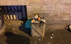 За выходные петербуржцы больше тысячи раз пожаловались на мусор