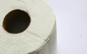 Онколог Масленников: Туалетная бумага с ароматизаторами раздражает слизистую
