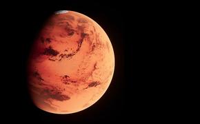 В 2024 году Starship совершит ещё 6 полётов на Марс