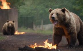 Медведи сгоревшего зоопарка до сих пор пахнут дымом пожара