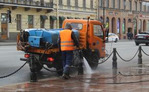 Бюджетные организации будут убирать дороги в Петербурге