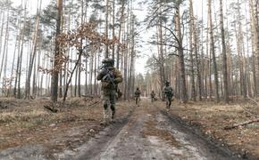 Подполье: ВСУ готовят новую линию обороны за Херсоном до Снигиревки