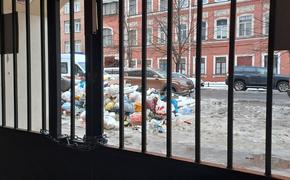 Петербуржцы жалуются на мусор, лужи и несанкционированные надписи на домах