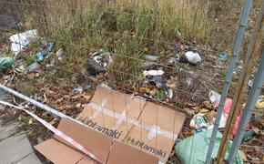 Тамбовский губернатор поручил ликвидировать мусорные свалки