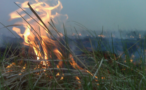 В селе под Хабаровском произошел пожар