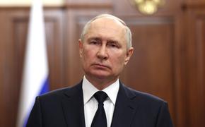 Путин: за терактами в разных странах стоят не только радикалы, но и спецслужбы