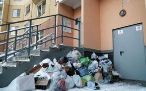 Петербуржцы 256 раз пожаловались на мусор в городе за последние 24 часа