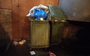 Тамбовский губернатор пытается разобраться в мусорной проблеме