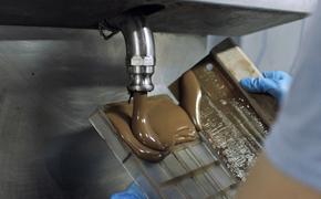 Вирус поставил под угрозу мировые запасы шоколада