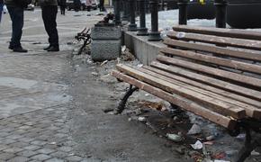 За день жители Петербурга больше 300 раз пожаловались на мусор в городе