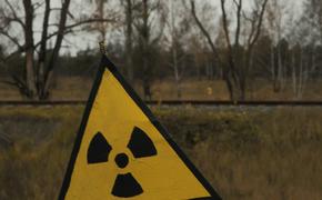 Замминистра Залевский: Польша подала заявку на размещение ядерного оружия