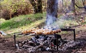 В Хабаровском крае МЧС начинает штрафовать за приготовление шашлыков