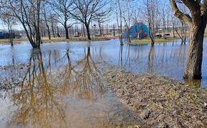 Уровень воды в Приозерском районе начал снижаться
