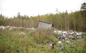 Петербуржцы больше 600 раз за день пожаловались на мусор в городе