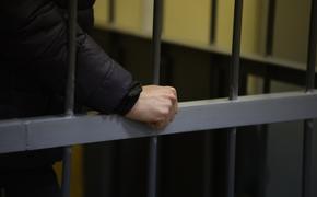 Депутат ЗакСа Ленобласти находится под стражей по двум уголовным делам 